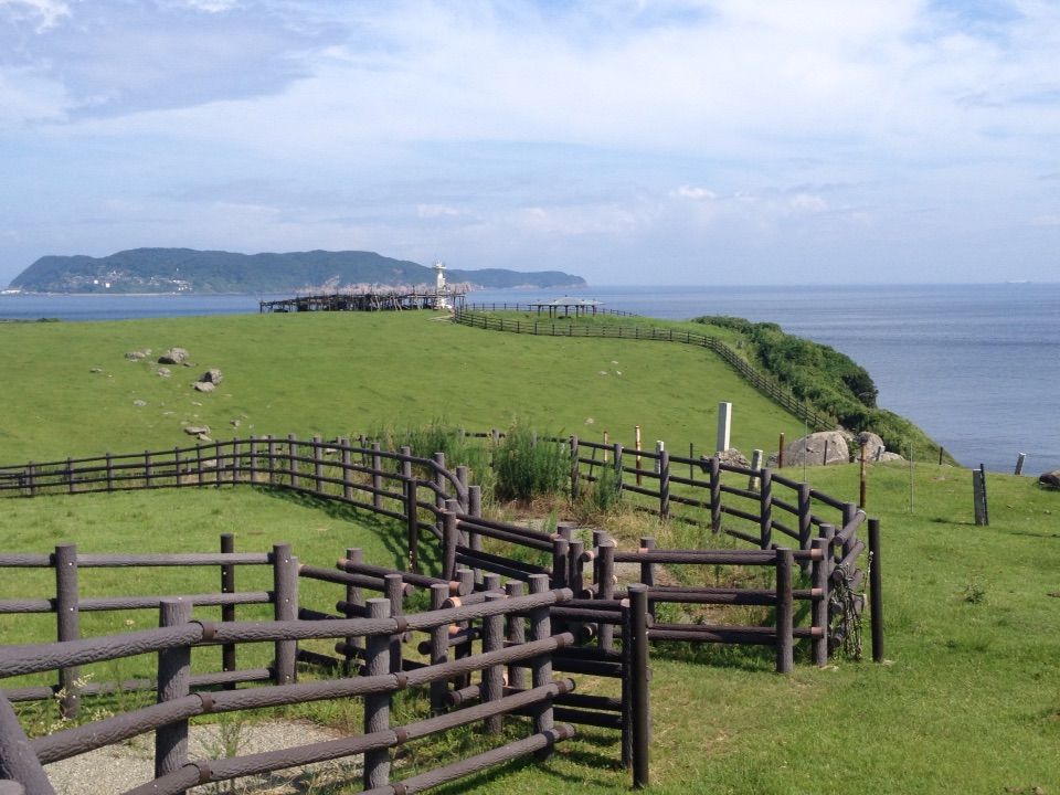 青い海と緑の牧場 のどかな牧草地が広がる 杉ノ原放牧場 呼子 九州 旅行 観光情報なら 九州旅行ナビ 青い海と緑の牧場 のどかな牧草地が広がる 杉ノ原放牧場 呼子 九州 旅行 観光情報なら 九州旅行ナビ